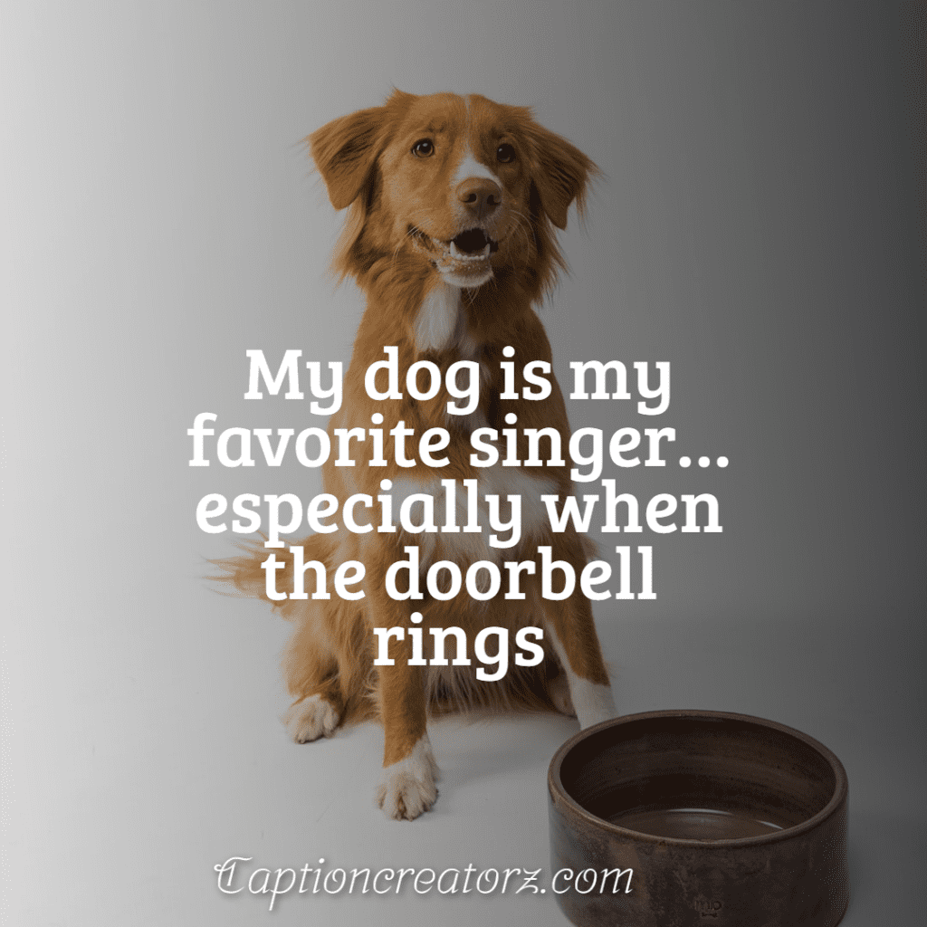 99 Funny Dog Quotes to Brighten Your Day