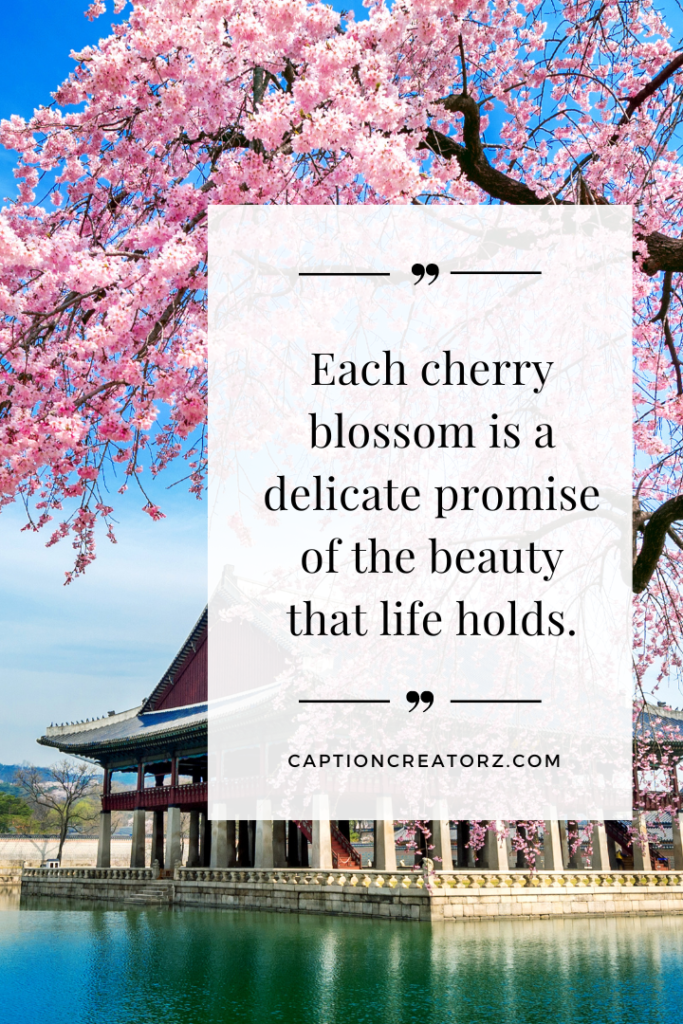 Cherry Blossom Sayings