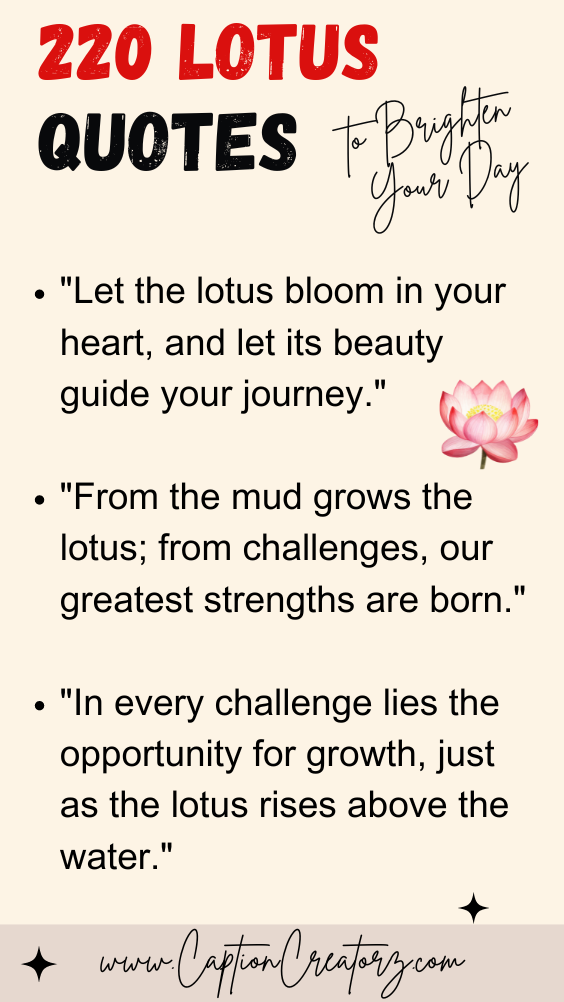 220 Inspiring Lotus Quotes to Brighten Your Day