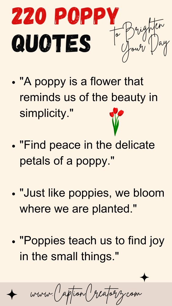 220 Inspiring Poppy Quotes to Brighten Your Day