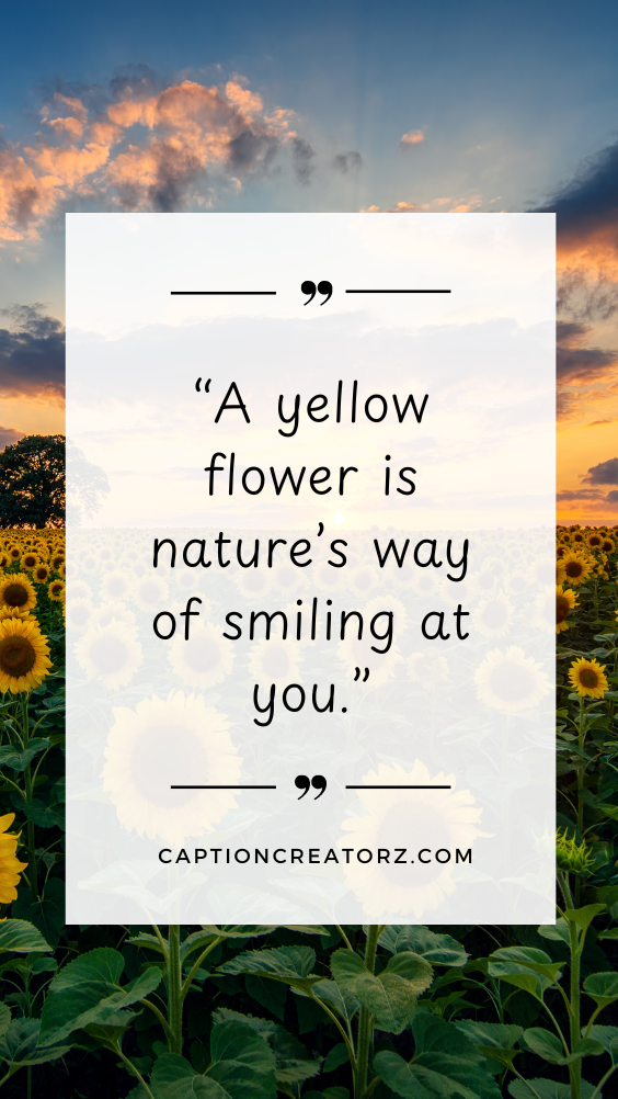 Radiant yellow sunflowers under the sun with an uplifting lotus quote, evoking a sense of positivity and warmth.