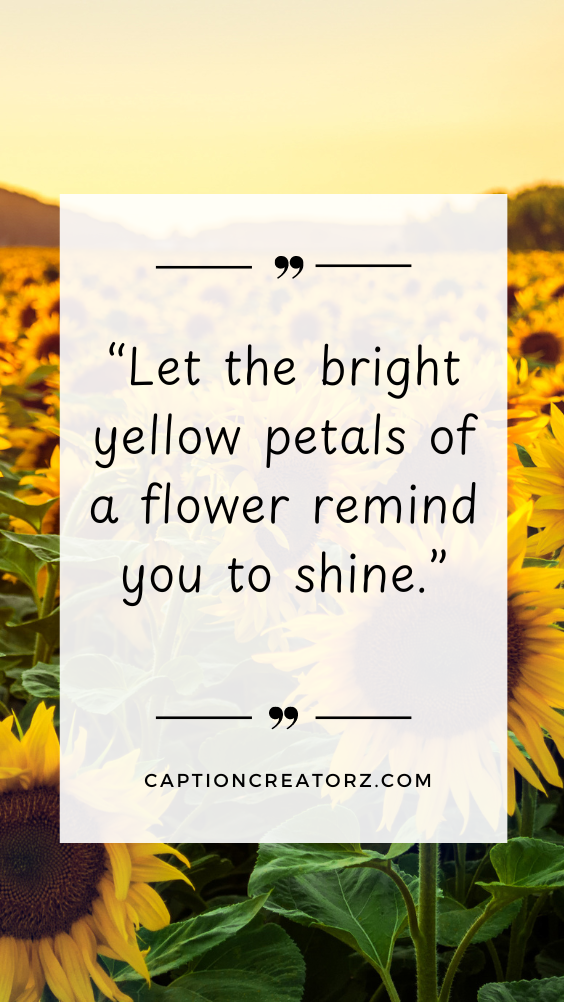 Bright sunflower field in full bloom with an inspirational lotus quote, set against a vibrant yellow flower background.