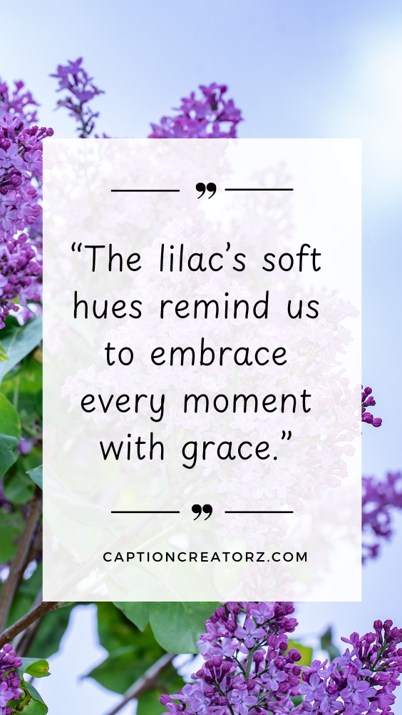 Lilac flowers in full bloom with an inspirational lilac quote overlay, set against a soft and dreamy lilac background.