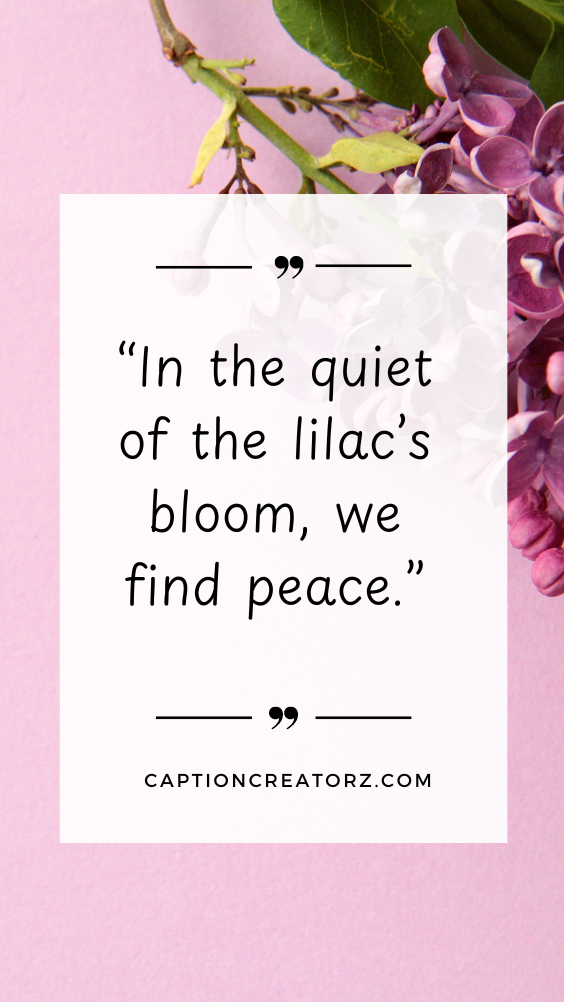 Elegant lilac blossoms in the backdrop with a motivational quote about lilacs, creating a serene and calming visual.