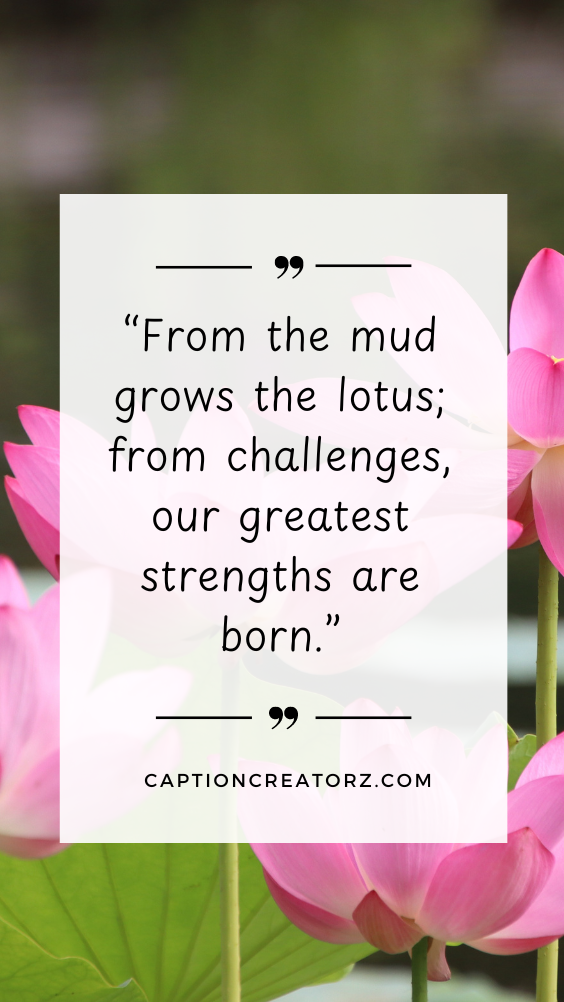 A serene lotus flower in the background with an uplifting lotus quote, creating a peaceful and calming image.