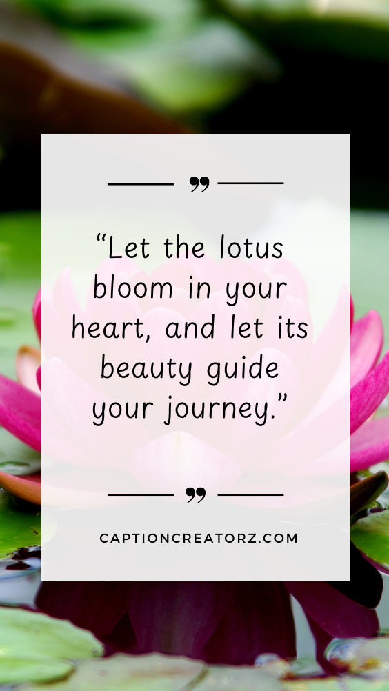 Vibrant lotus blossom paired with an inspiring lotus quote, set against a tranquil lotus-filled background.