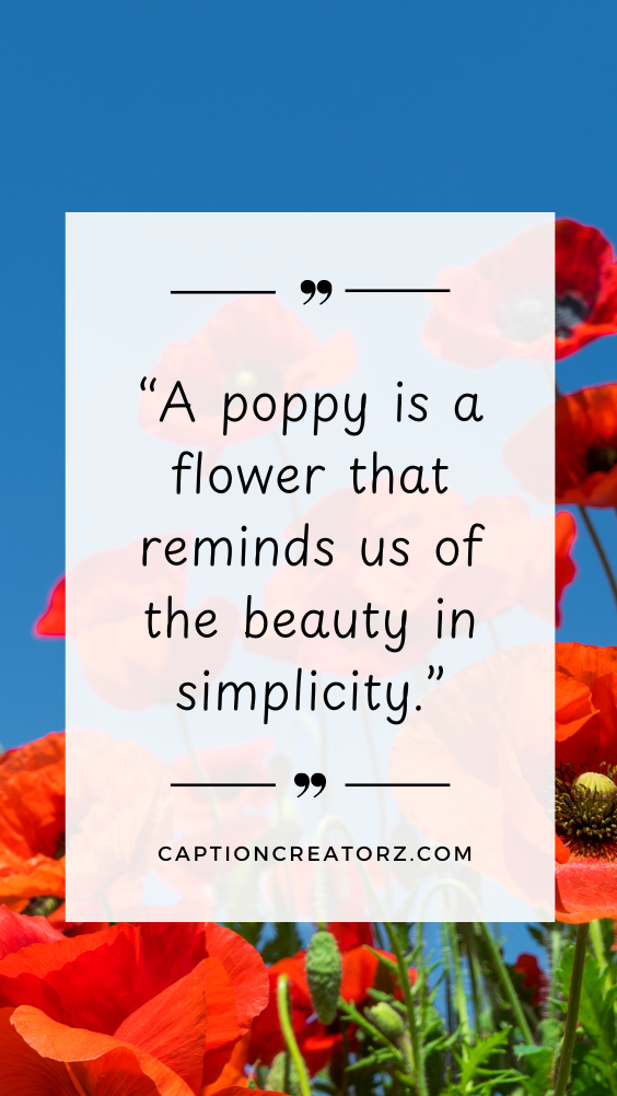 Delicate poppies swaying in the breeze with a motivational lotus quote, creating a harmonious blend of nature and wisdom.