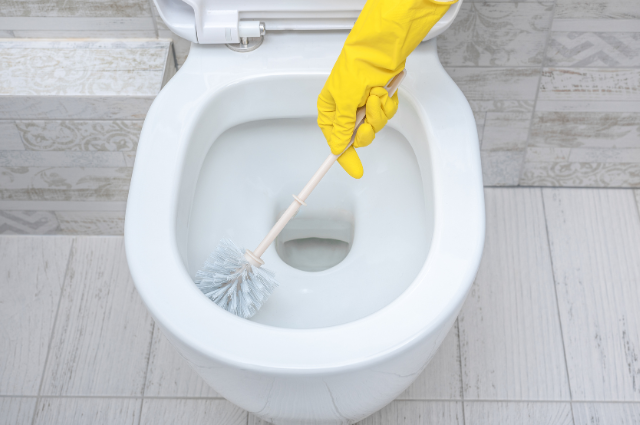 Stubborn Toilet Stains